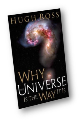 Why the Universe - Book Cover.png